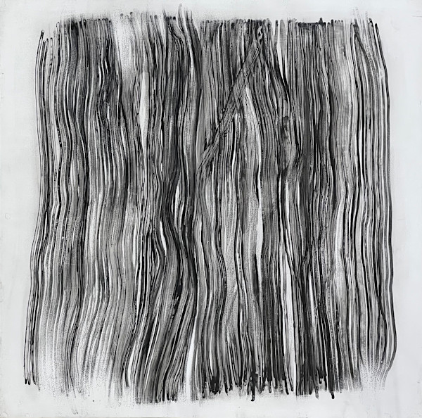 Tangle by Laura Viola Preciado