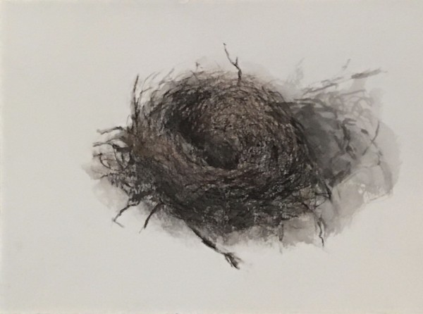 Nest with a Shadow