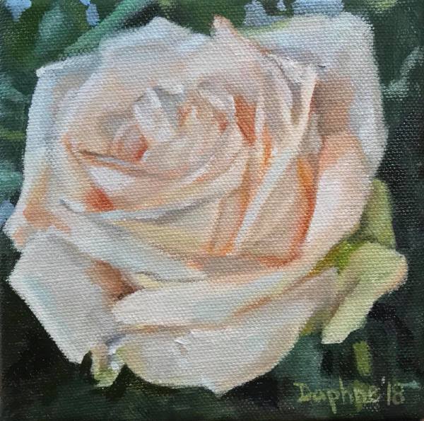 White Rose March 2018 by Daphne Cote