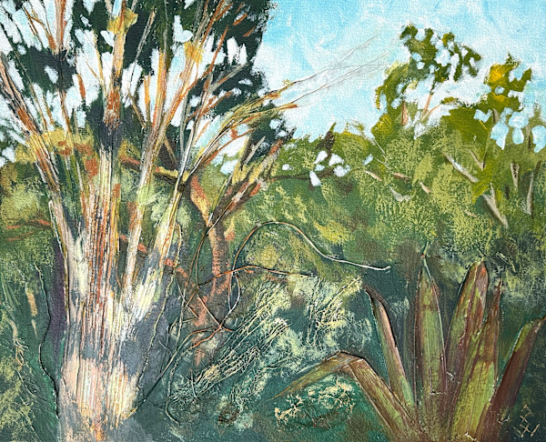 Tree in Morning Light by Susan Clare