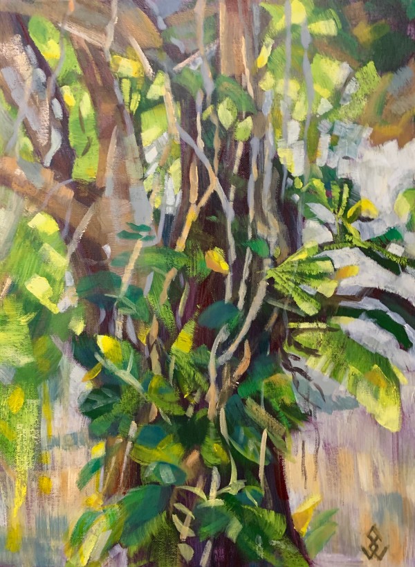 Guango Tree with Creeper by Susan Clare
