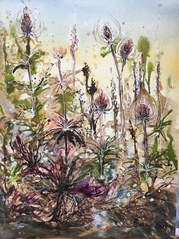 Seed Heads 2 by Susan Clare