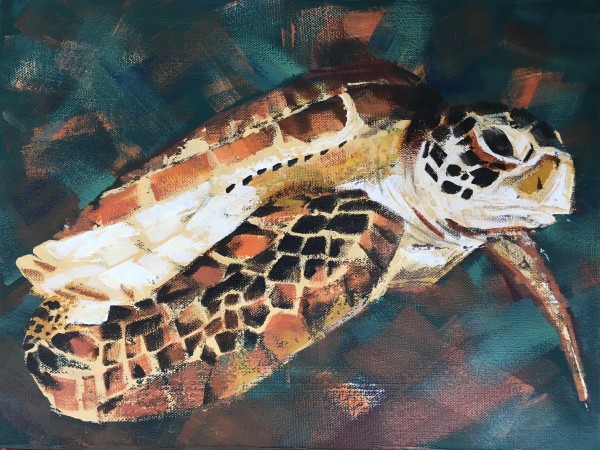 Annya's Turtle by Susan Clare