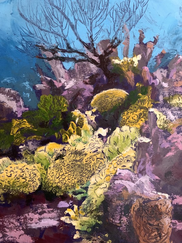 Felix's Reef by Susan Clare