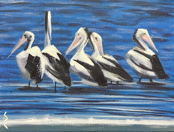 Five Pelicans by Susan Clare
