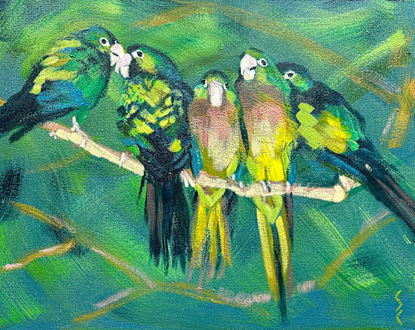 Five Baby Parrots by Susan Clare