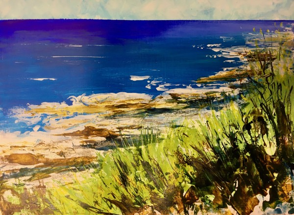 Cornish Coast (sketch) by Susan Clare