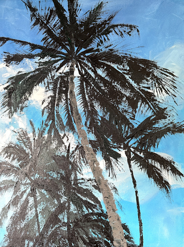 Sky Palms by Susan Clare