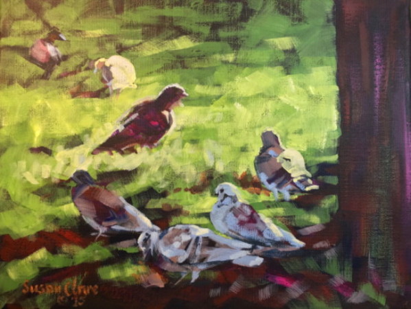 Pigeons in the Park by Susan Clare