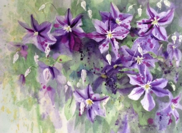 Purple Clematis by Susan Clare