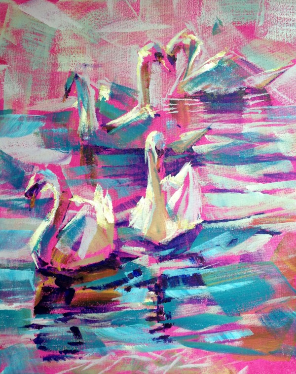 Swans in the Pink by Susan Clare