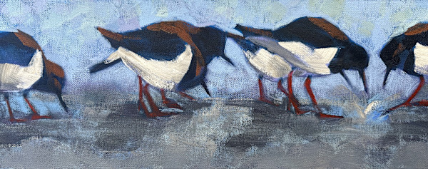 Turnstones 2 by Susan Clare