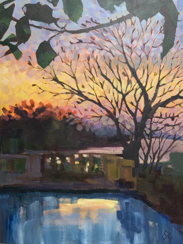 Frangipani Sunset by Susan Clare