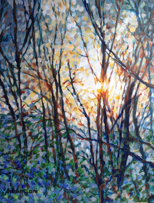 Sunrise Trees by Susan Clare
