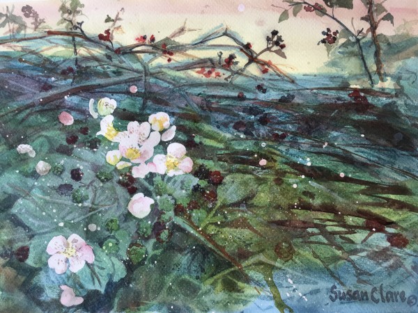 Brambles & Blossom by Susan Clare
