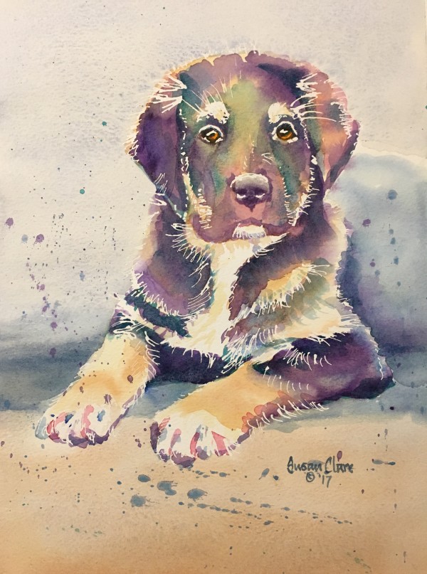 Purple Pup by Susan Clare