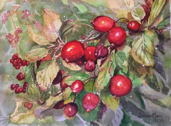 Round Ruby Rosehips by Susan Clare