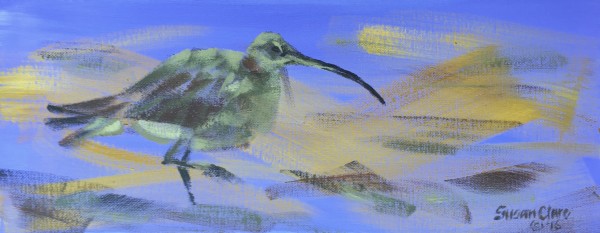 Curlew by Susan Clare