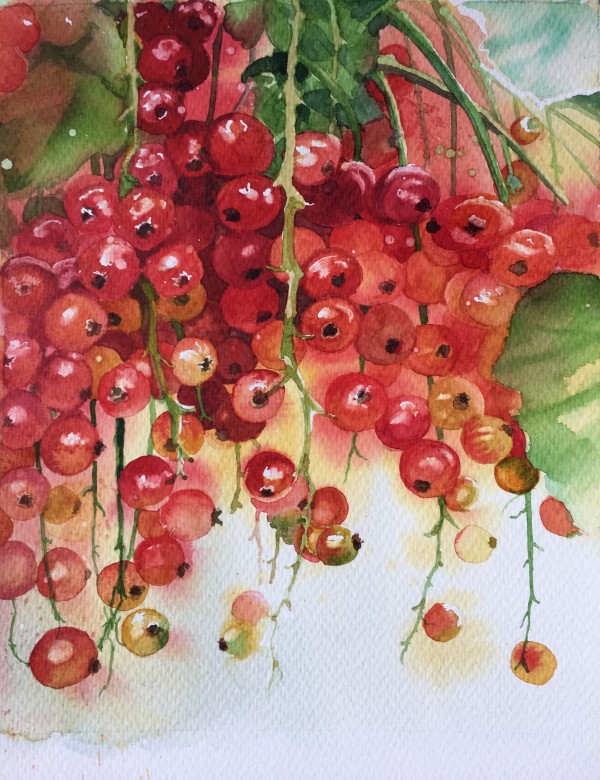 Redcurrants by Susan Clare