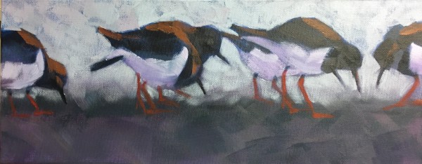 Turnstones by Susan Clare