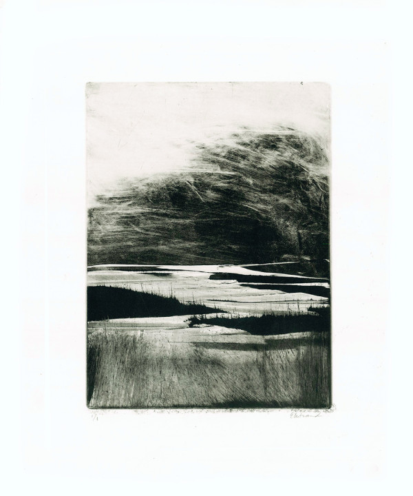 Homeground Suite #12