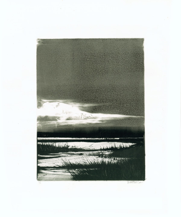 Homeground Suite #13