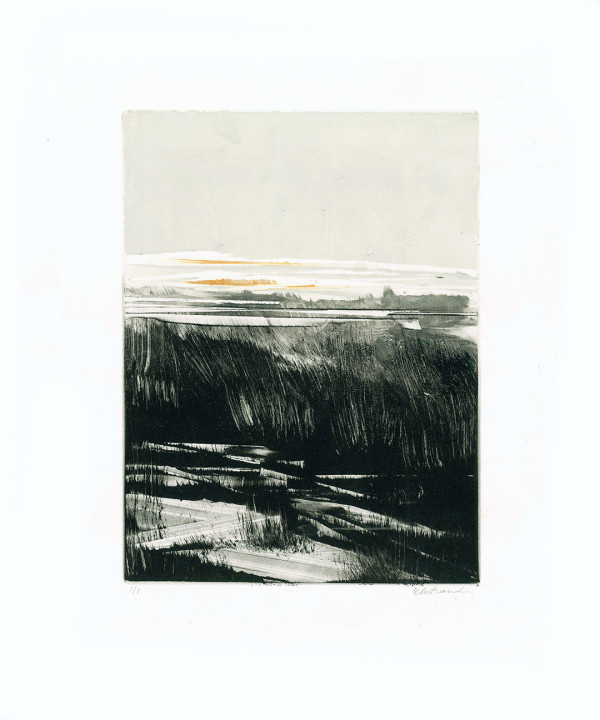 Homeground Suite #2 by Kris Ekstrand