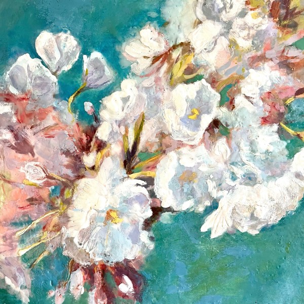Cherry Blossoms by Anne Stine