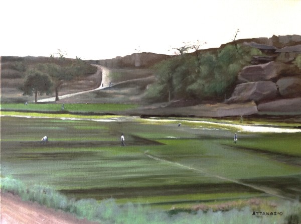Bandiagara Onion Fields by John Attanasio