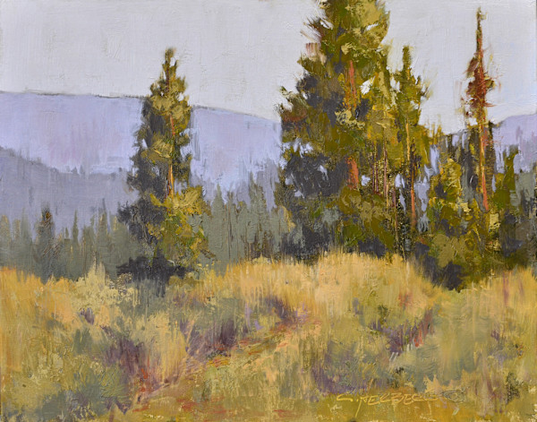 Beartooth Vista by Connie Herberg