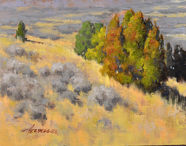 Coat of Many Colors by Connie Herberg