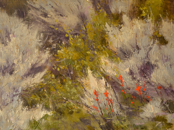 Indian Paintbrush by Connie Herberg