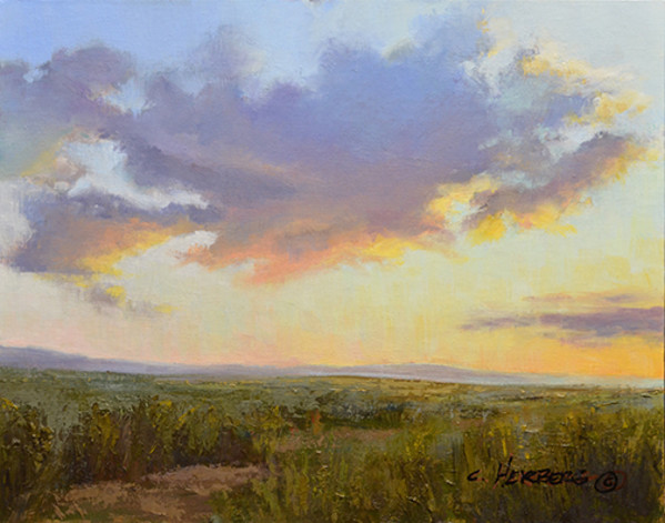 The Quiet Bloom of Dawn by Connie Herberg