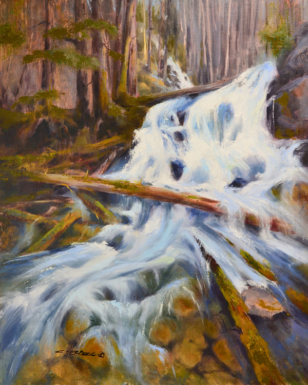 Whitewater by Connie Herberg