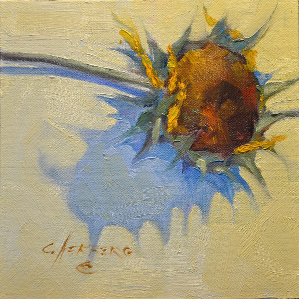 sunflower by Connie Herberg