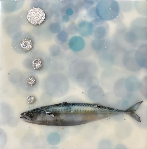 Fish by Sally Hootnick