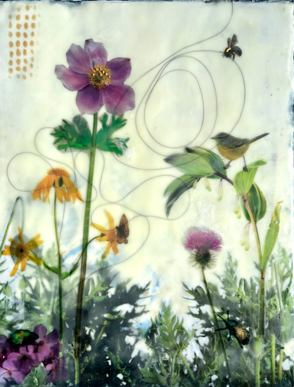 Blossom #7 by Sally Hootnick