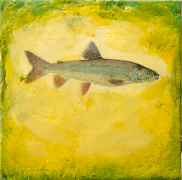 Walleye by Sally Hootnick