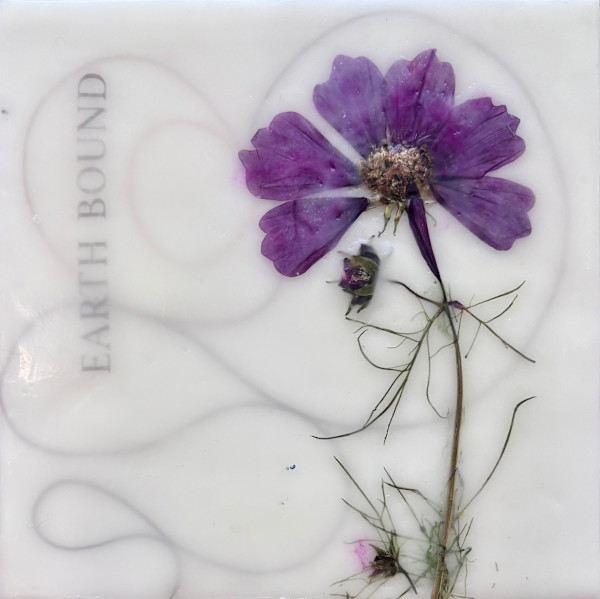 Wildflower #3 by Sally Hootnick, Image 1.