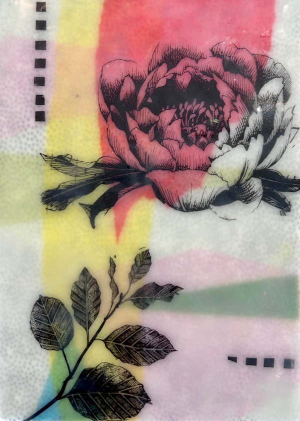 Antique Rose by Sally Hootnick, Image 1.