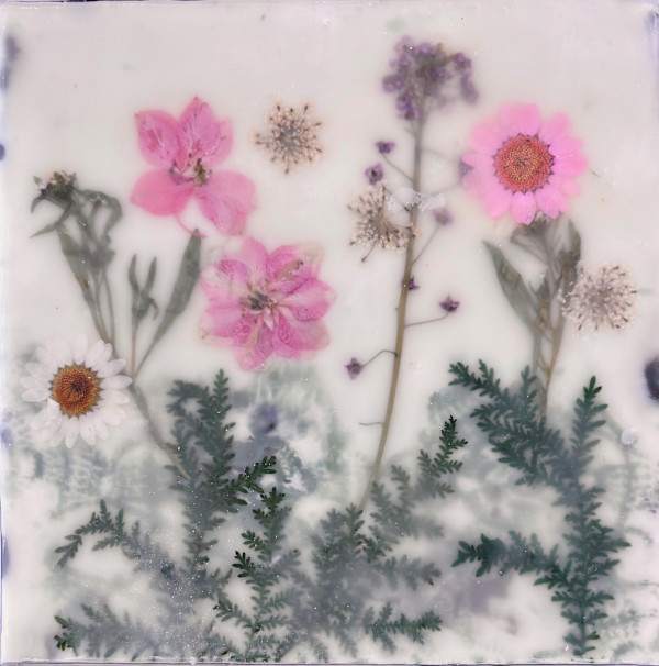 Wildflower #4 by Sally Hootnick, Image 1.