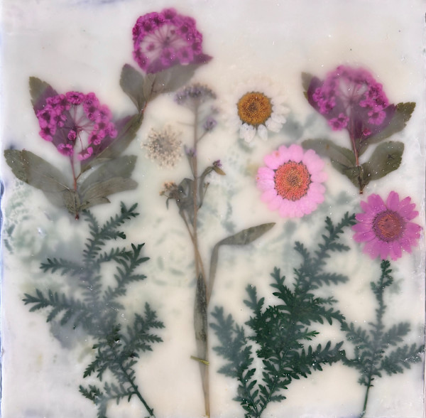 Wildflower #5 by Sally Hootnick, Image 1.
