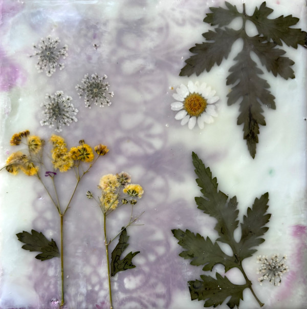 Wildflower #8 by Sally Hootnick, Image 1.