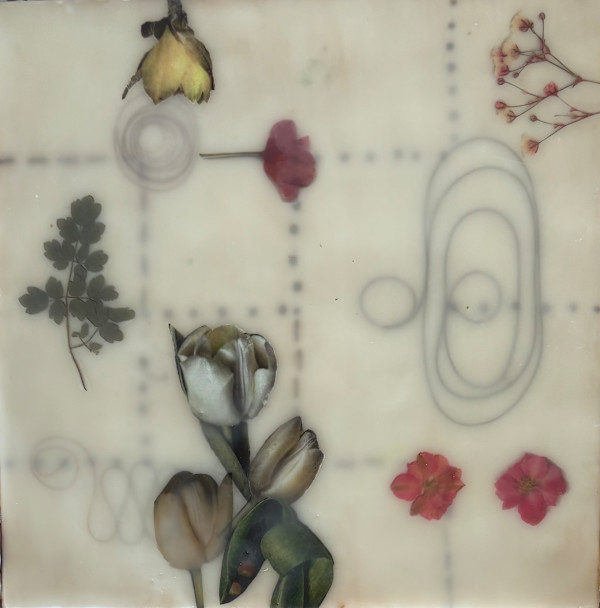 Garden Suite #3 by Sally Hootnick, Image 1.