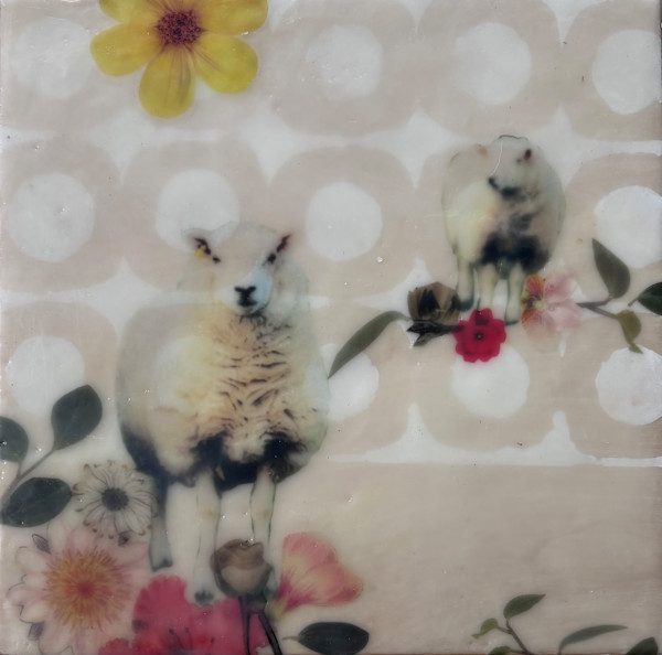 Sheep Show by Sally Hootnick, Image 1.