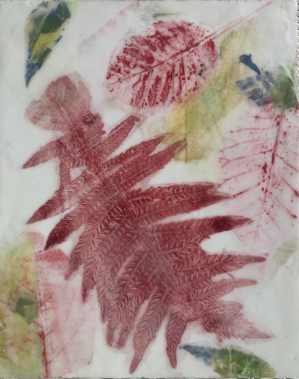 Red Fern by Sally Hootnick