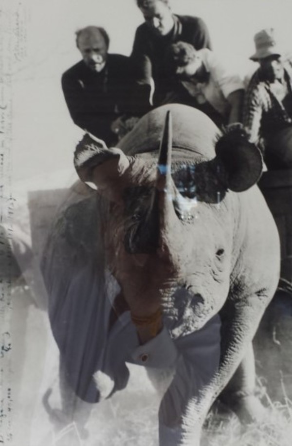 End of The Game - Rhino Roping by Peter Beard