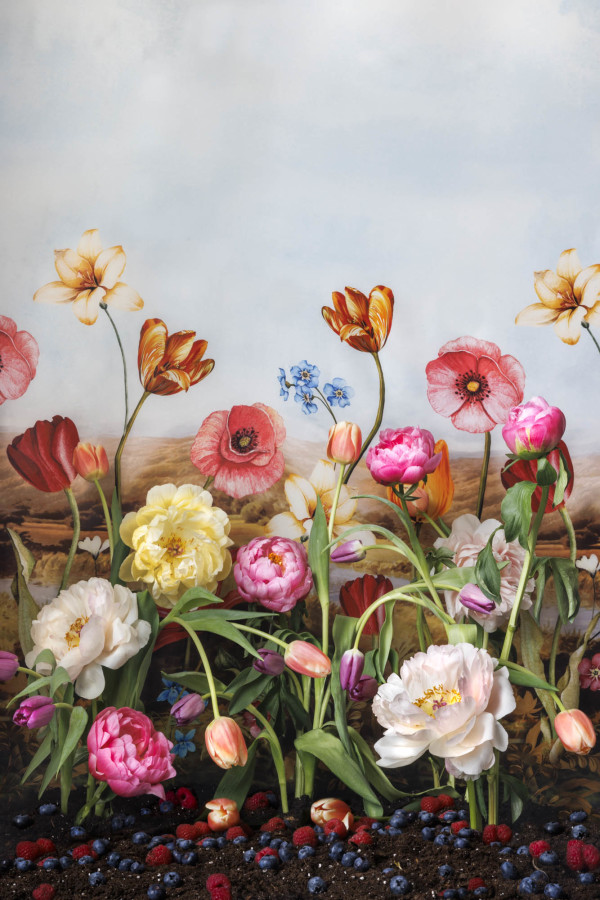 A Parade of Peonies by JP Terlizzi