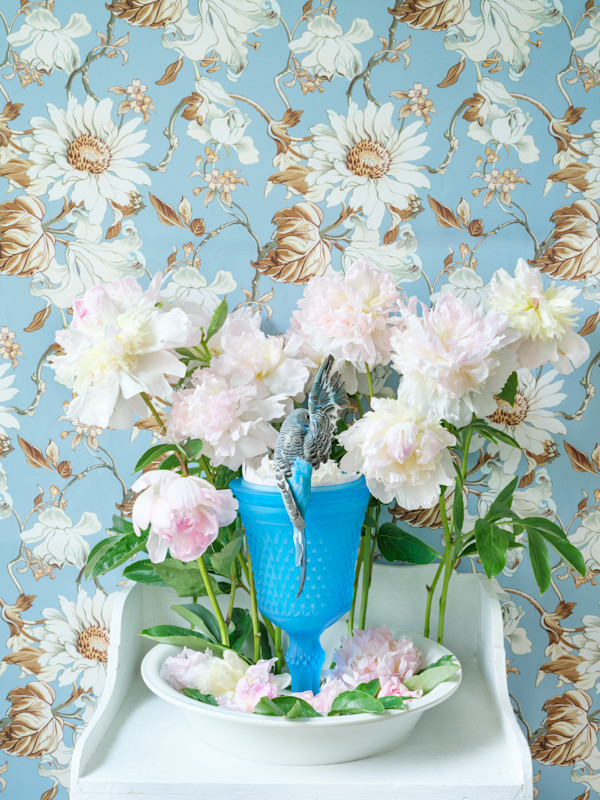 Bird Bath by JP Terlizzi