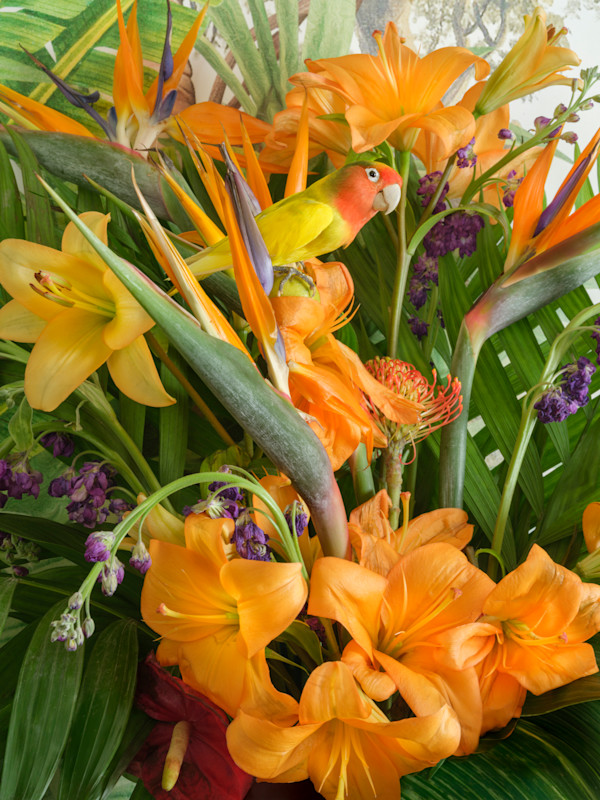 Bird of Paradise by JP Terlizzi, Image 1.